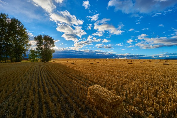 NRCS Conservation Easement Workshop
