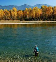 Fisherman