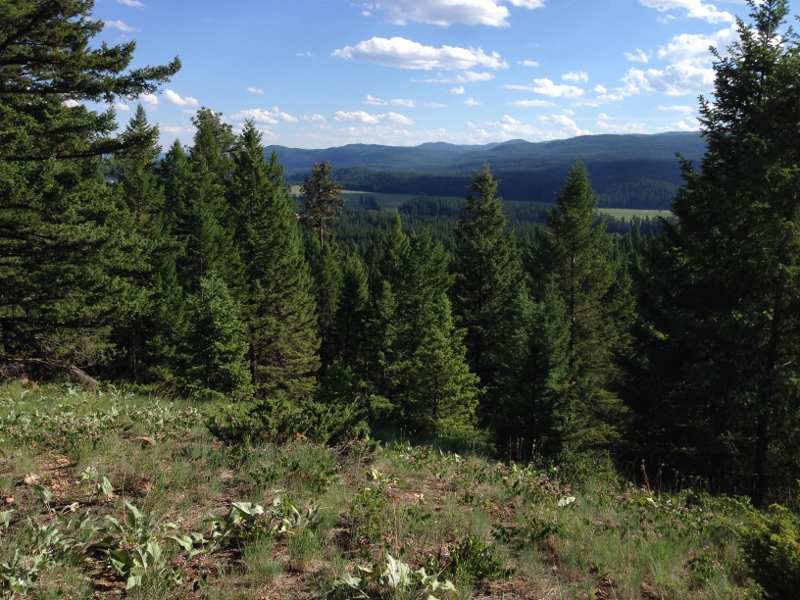 View from Lupfer Trail overlook of Star Meadows