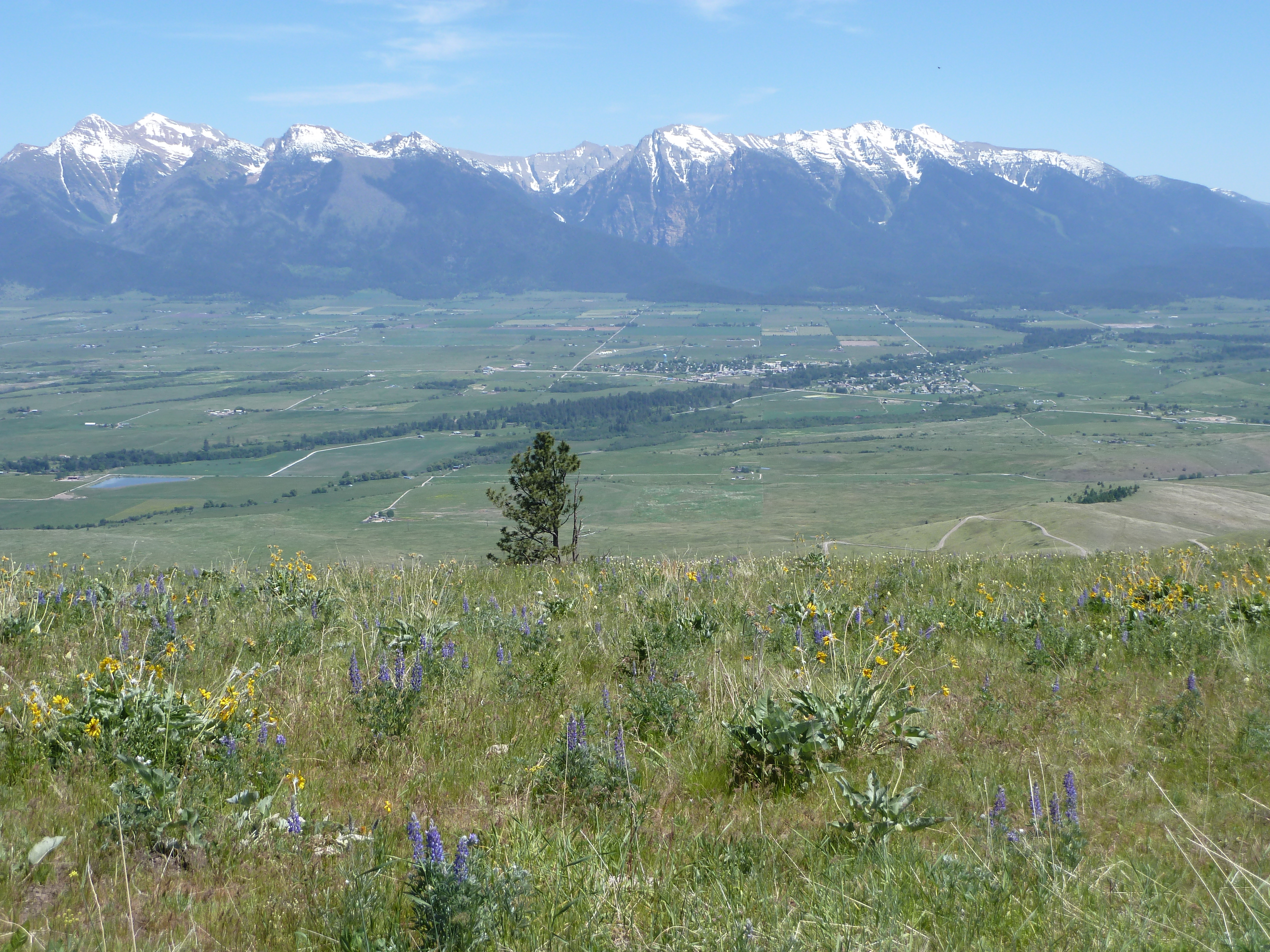 WeaverJohnProjectfromBisonRange_byFLT