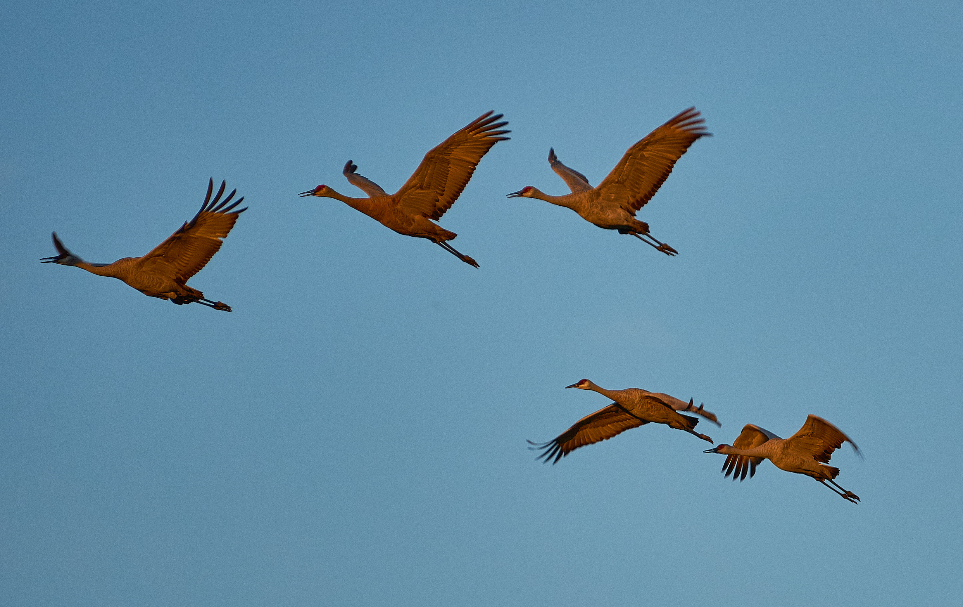 steve_muller_photo2