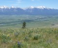Announcing New Bird and Wildlife Habitat Protection in the Smith and Mission Valleys