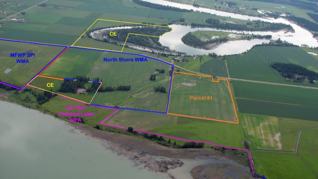 New land on the north shore of Flathead Lake conserved