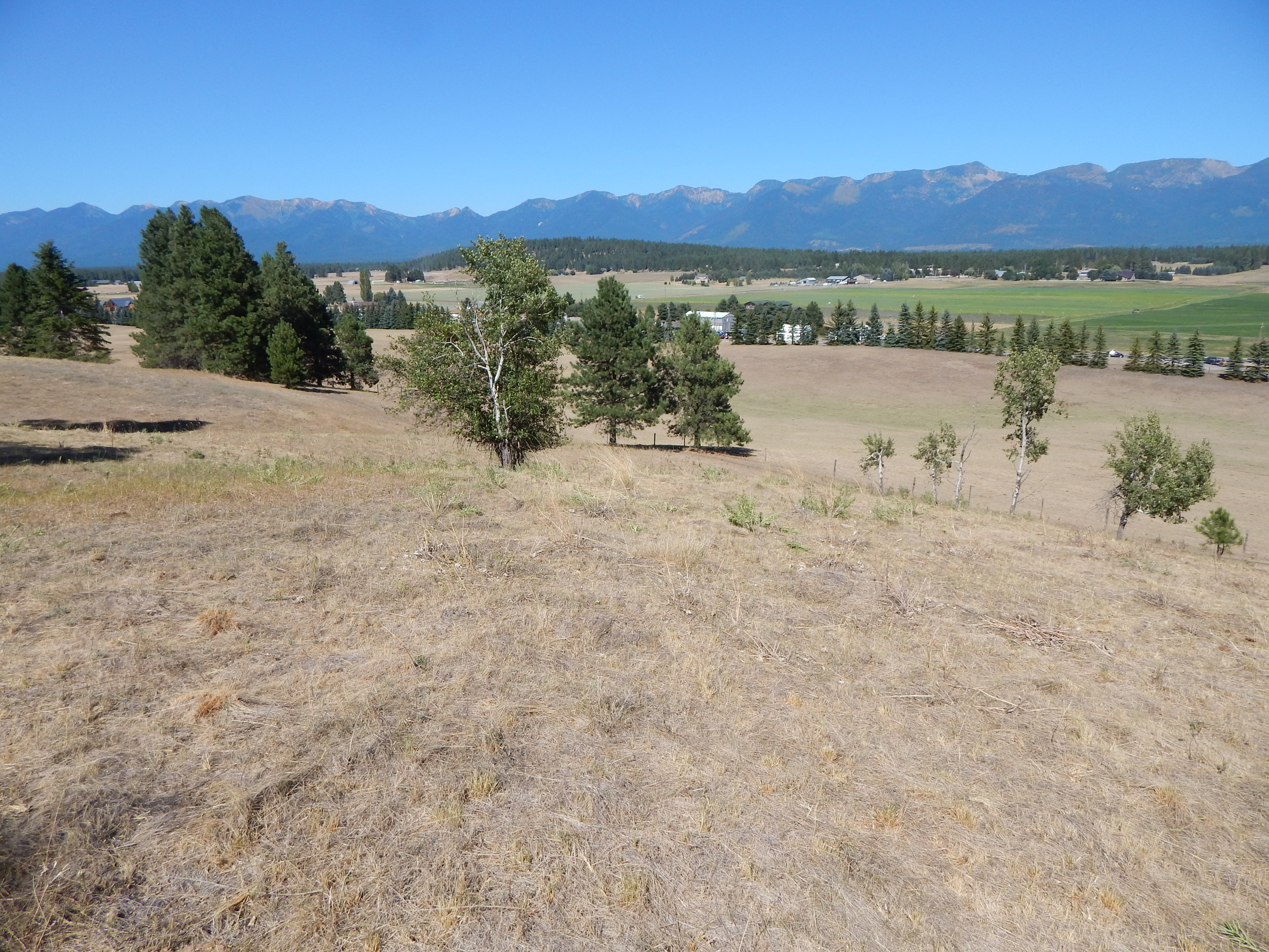 Looking ne from hill