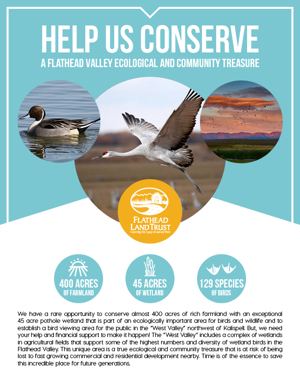 fundraising-appeal-flyer-3