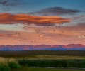 Conserving a Flathead Valley Ecological and Community Treasure