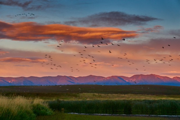 Conserving a Flathead Valley Ecological and Community Treasure