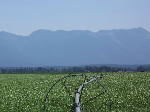 Intro to Conservation Easements for Realtors