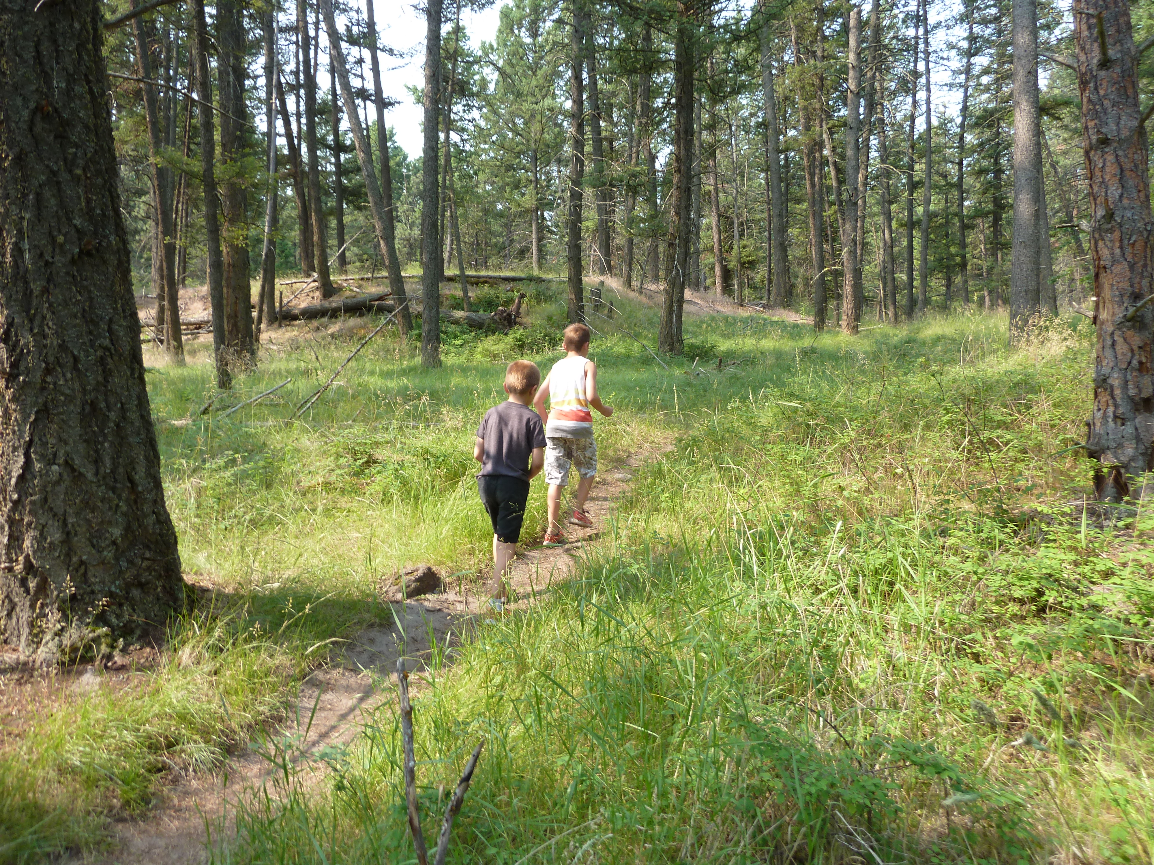 kids-hiking-on-van-riper-property
