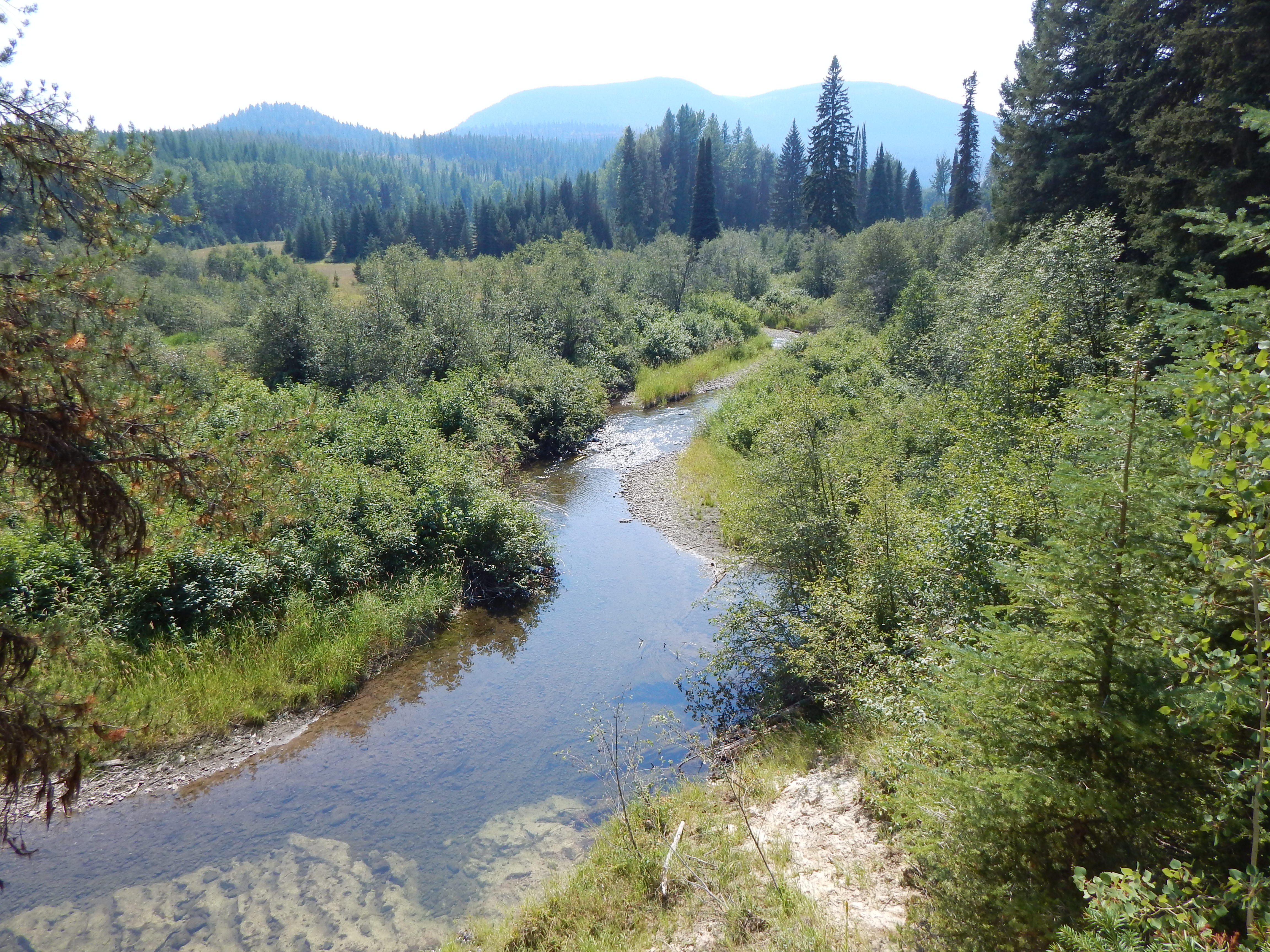 looking-upriver-at-good-crk-from-north-side-of-property
