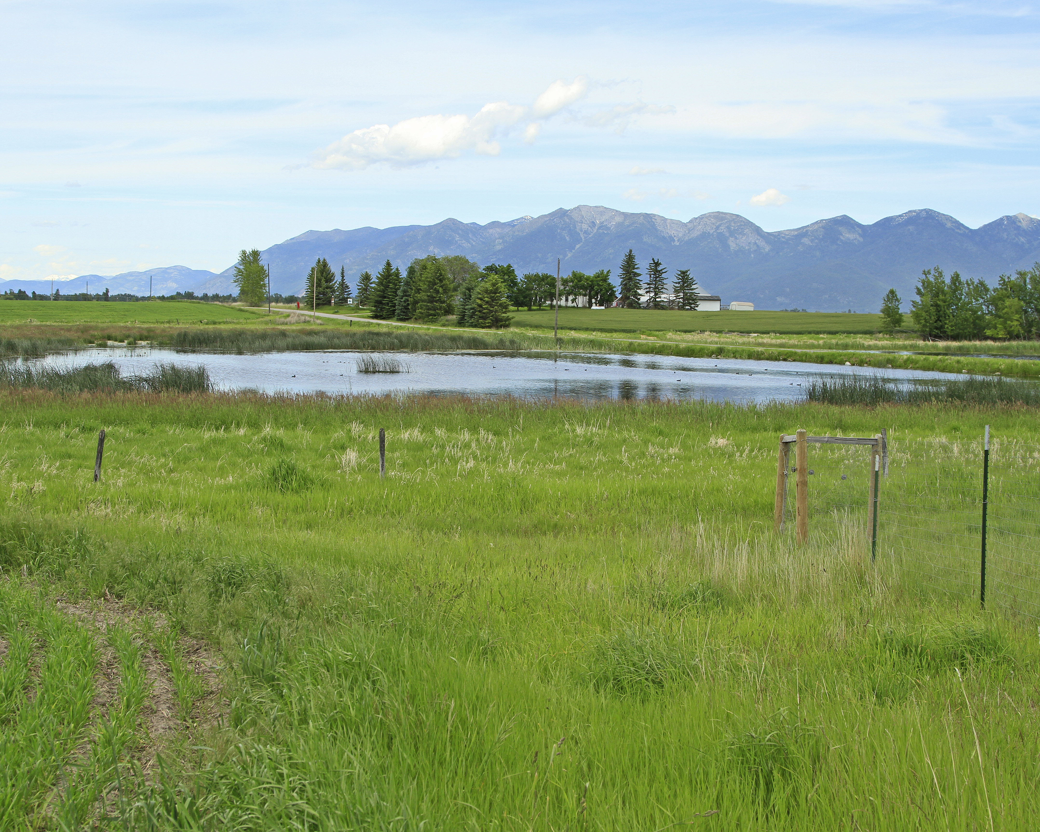 pond-on-cummings-property3-by-harley-mumma
