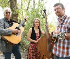 acousticals photo