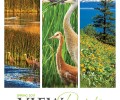 ViewPoints Spring Newsletter is Here!