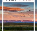 Our Fall 2017 Newsletter Has Arrived