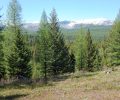Another 78 acres of North Fork wildlife habitat conserved