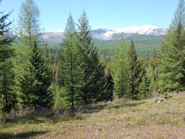 Another 78 acres of North Fork wildlife habitat conserved