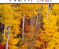 Check Out Our Fall ViewPoints Newsletter