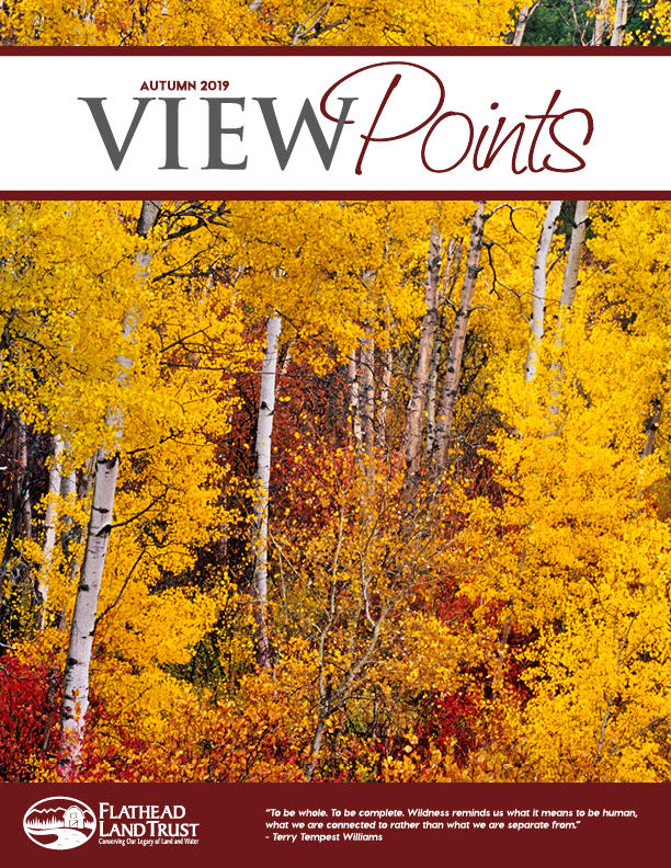 Check Out Our Fall ViewPoints Newsletter