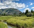 Bad Rock Canyon Conservation Project