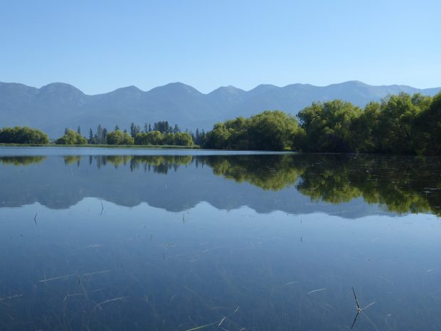 Vital bird habitat conserved on Mill Creek in lower valley
