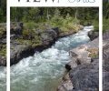 Spring/Summer Viewpoints Newsletter is Here!