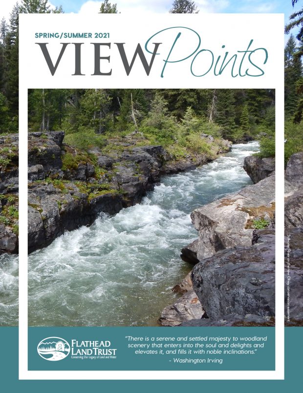 Spring/Summer Viewpoints Newsletter is Here!