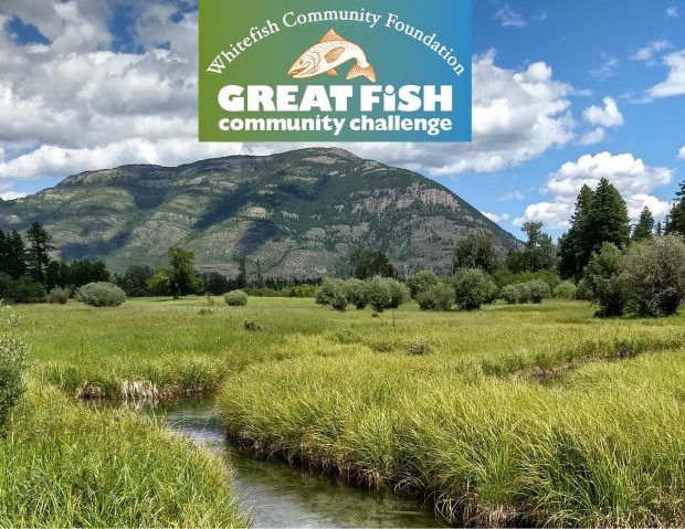 Great Fish Community Challenge