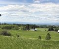 Farmland and habitat conserved near Flathead River
