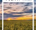 Check out our latest ViewPoints newsletter!