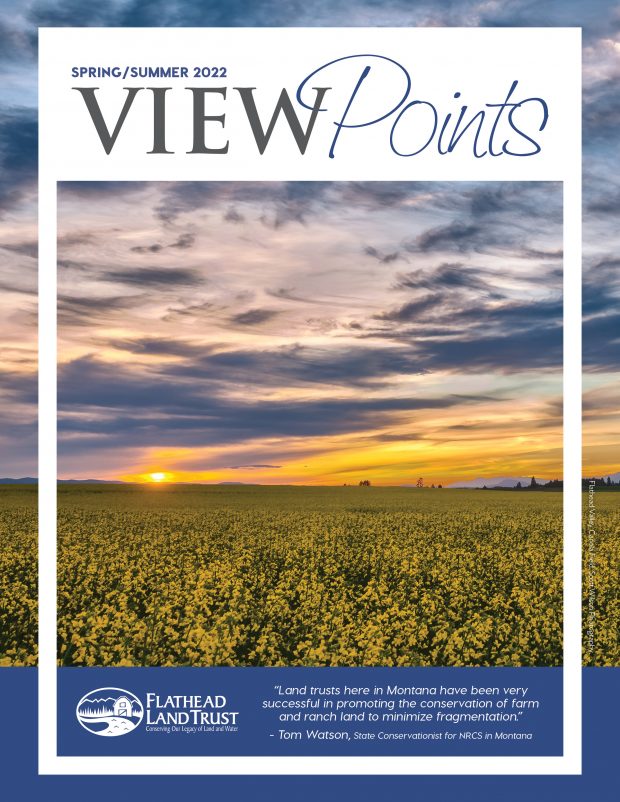Check out our latest ViewPoints newsletter!