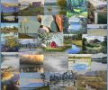 Online Auction for Flathead River in Paint is Live NOW thru Dec. 7