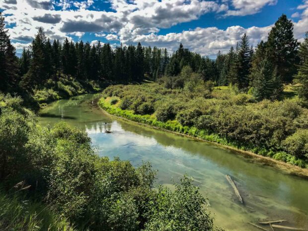 Flathead Land Trust Helps Two Landowners Place 970 Acres Under Conservation Easement in December