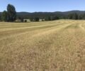 Property Near Stillwater River Conserved!