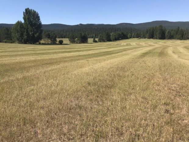 Property Near Stillwater River Conserved!