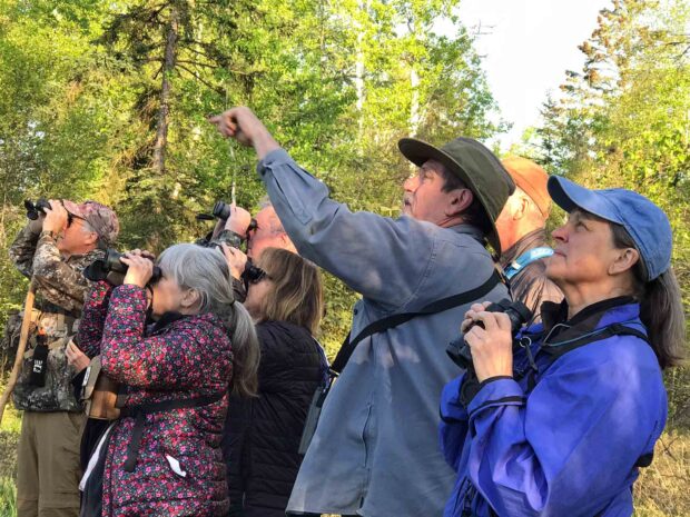Guided Walking Tour of Owen Sowerwine