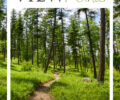 Our Summer 2023 Newsletter is Here!