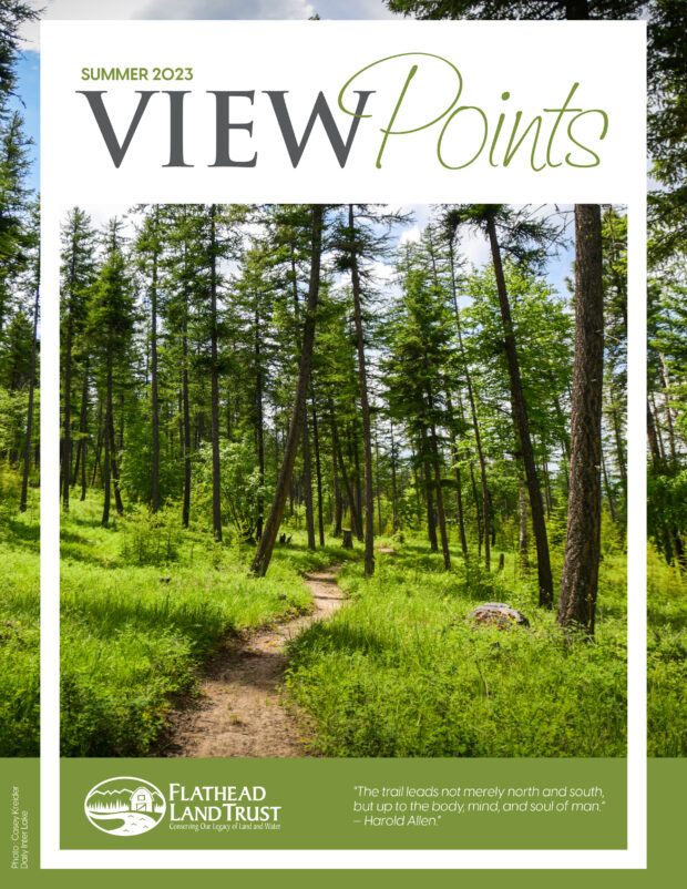 Our Summer 2023 Newsletter is Here!