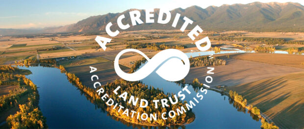 Accreditation Renewal Public Input Requested
