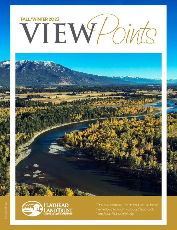 Our Fall/Winter Newsletter is Here!
