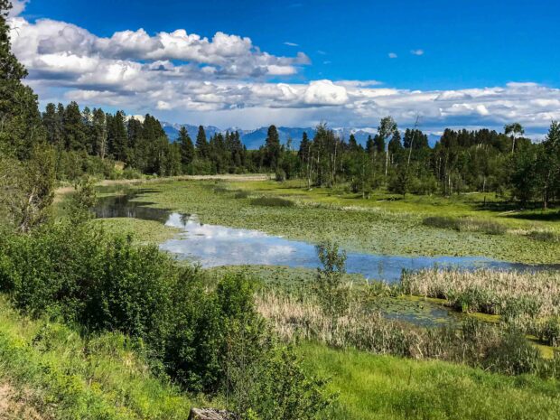 New Conservation Easement Protects Rich Creston Area Topsoil and Egan Slough