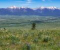 New Conservation Easement Protecting Mission Valley Heritage and Habitat