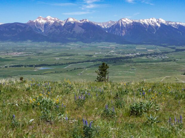 New Conservation Easement Protecting Mission Valley Heritage and Habitat